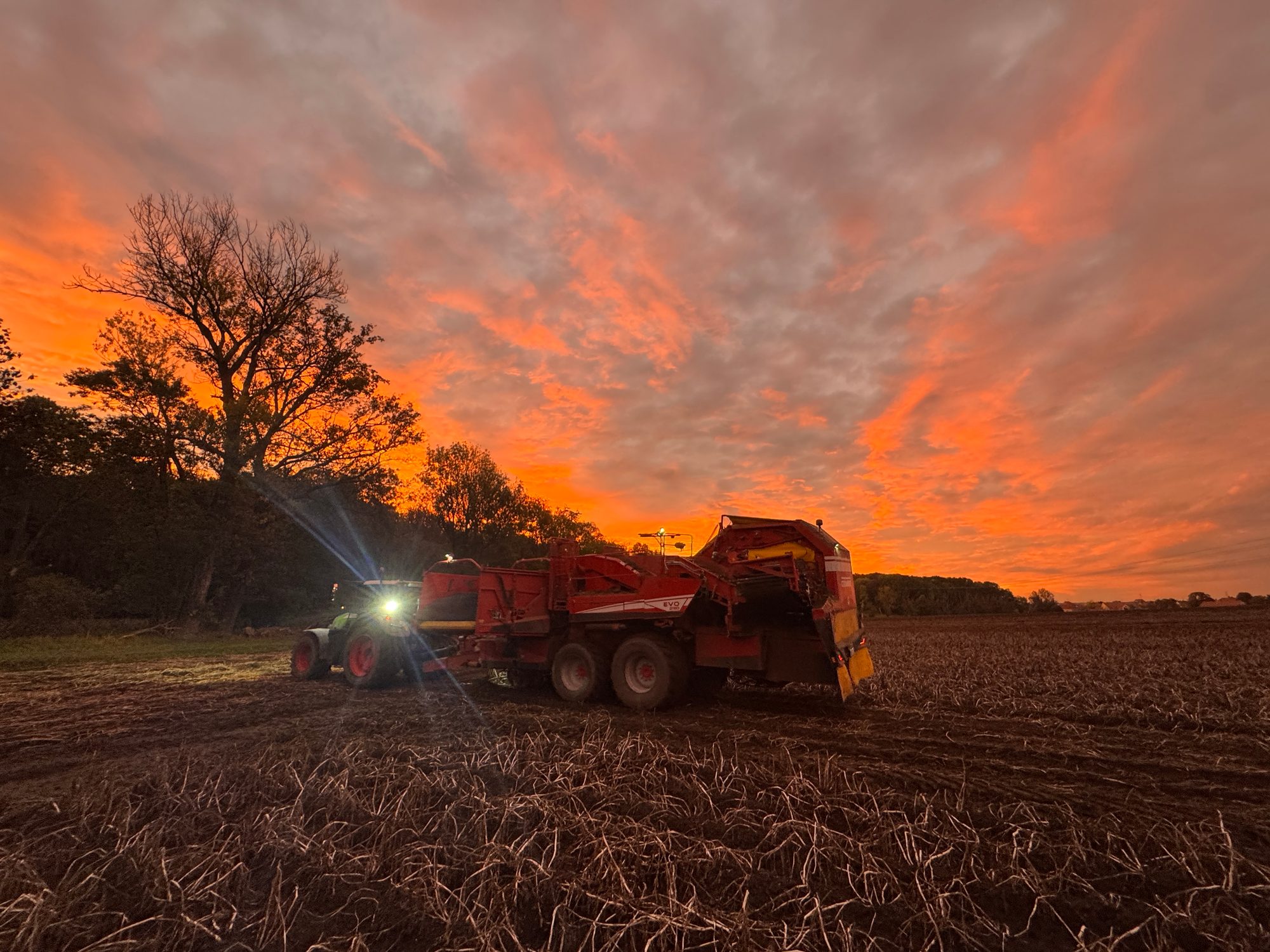 Kartoffelroder im Abendrot