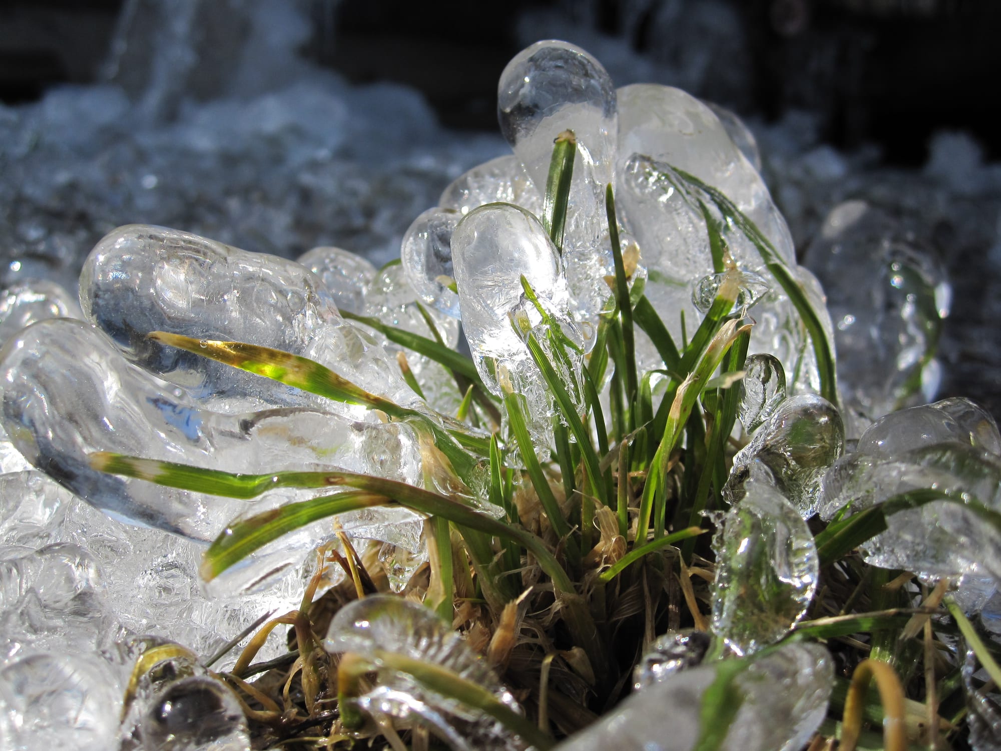 Durch alle Jahreszeiten