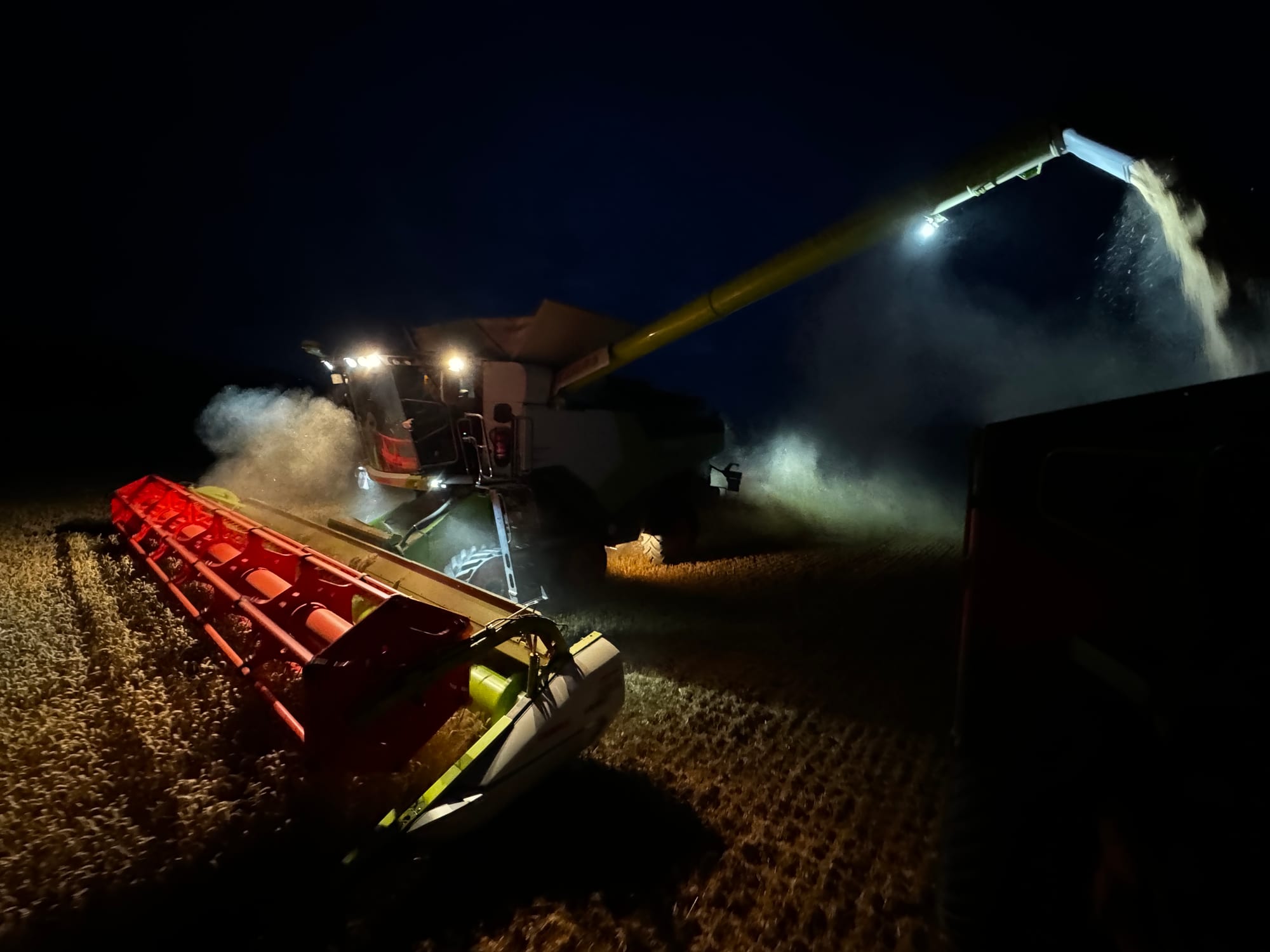 Nachtarbeit auf dem Landgut