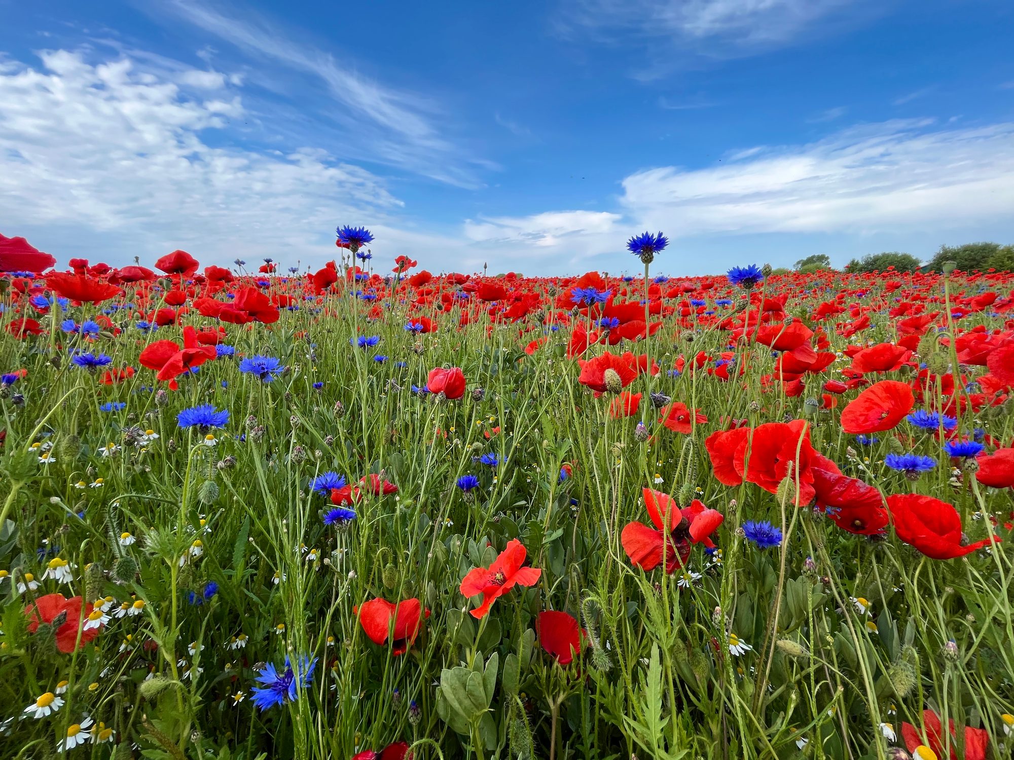 Felder Landgut Kretzschmar